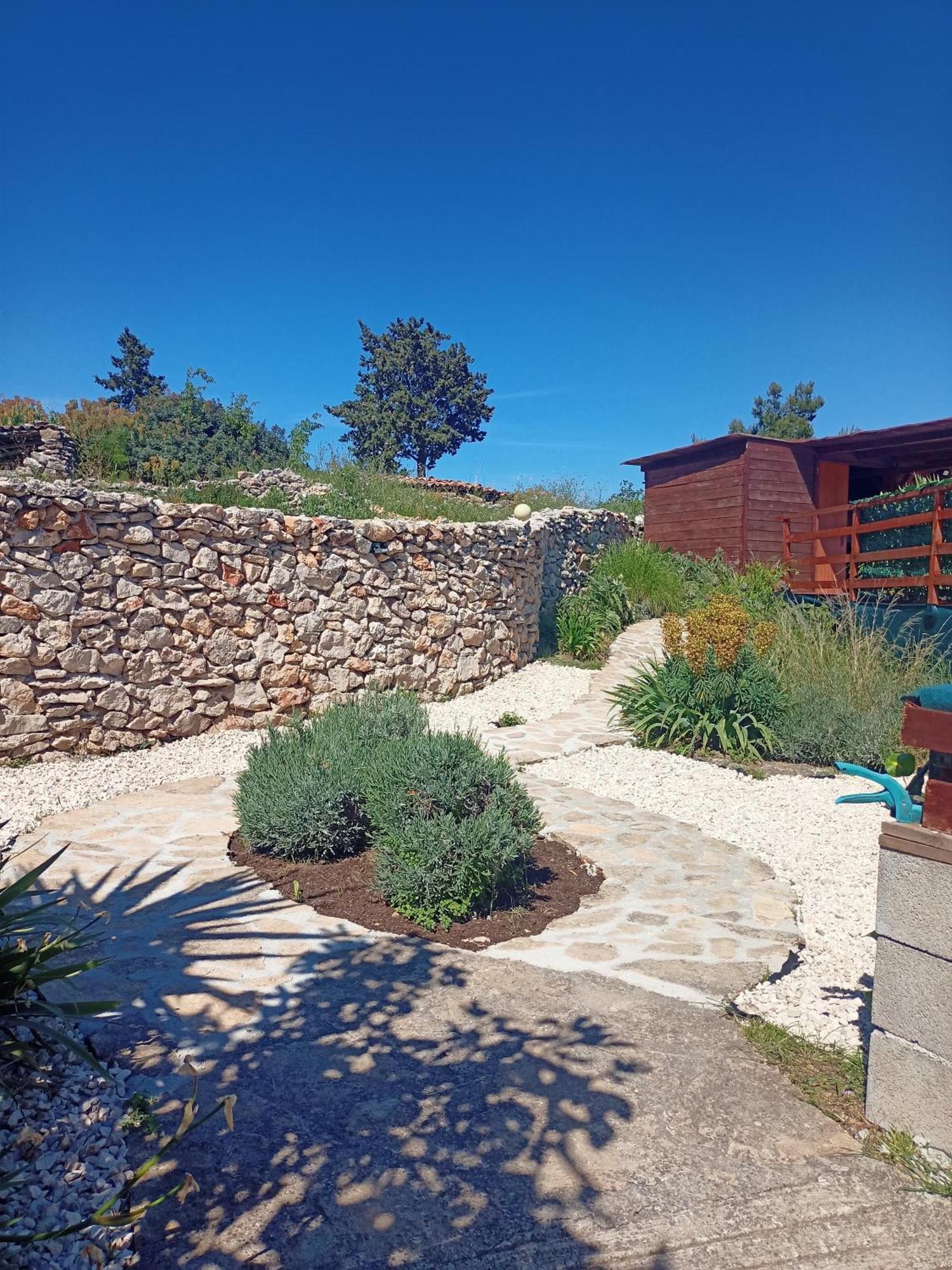 Apartments Ruza Dragove Dugi Otok Εξωτερικό φωτογραφία