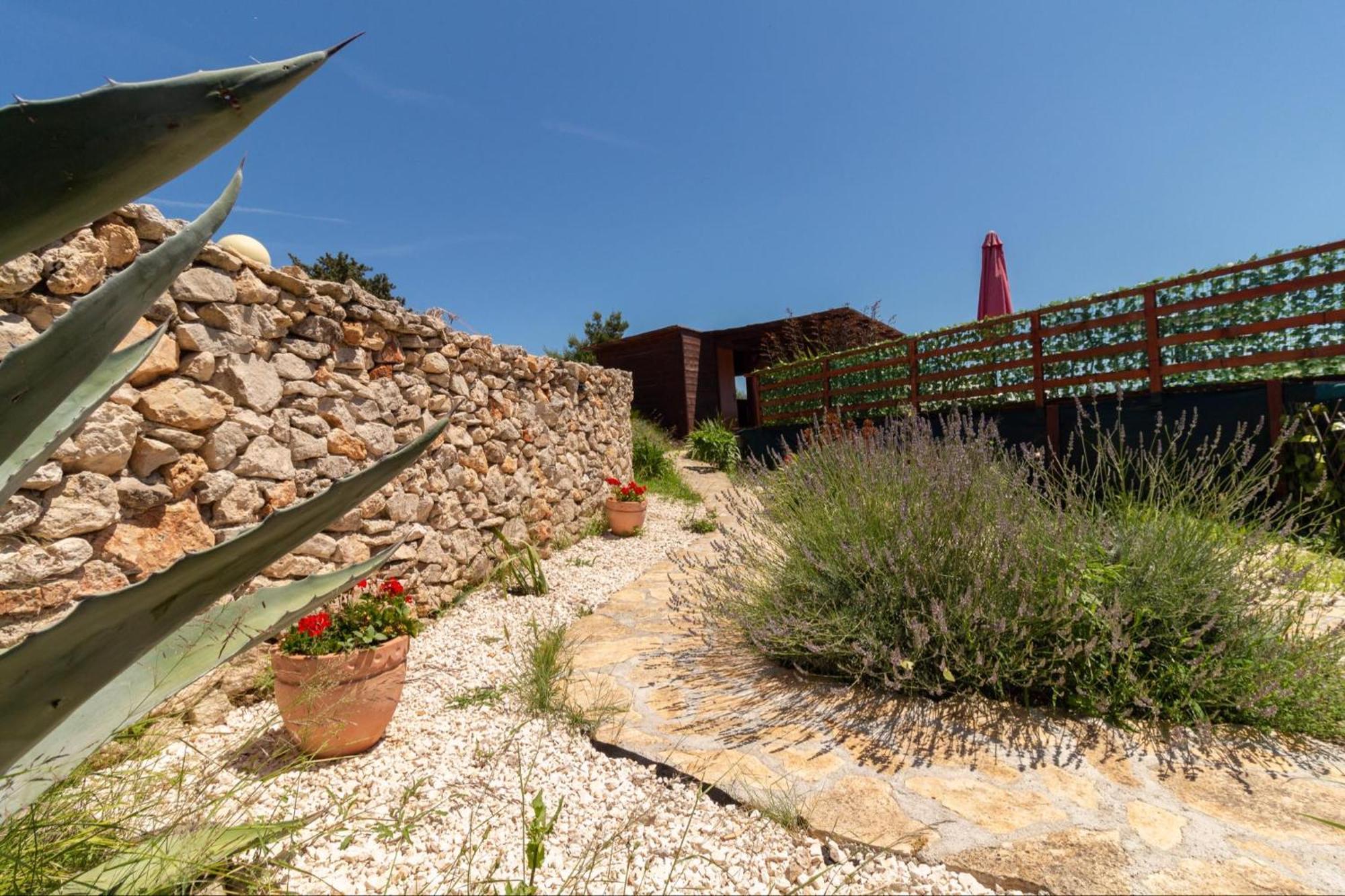 Apartments Ruza Dragove Dugi Otok Εξωτερικό φωτογραφία