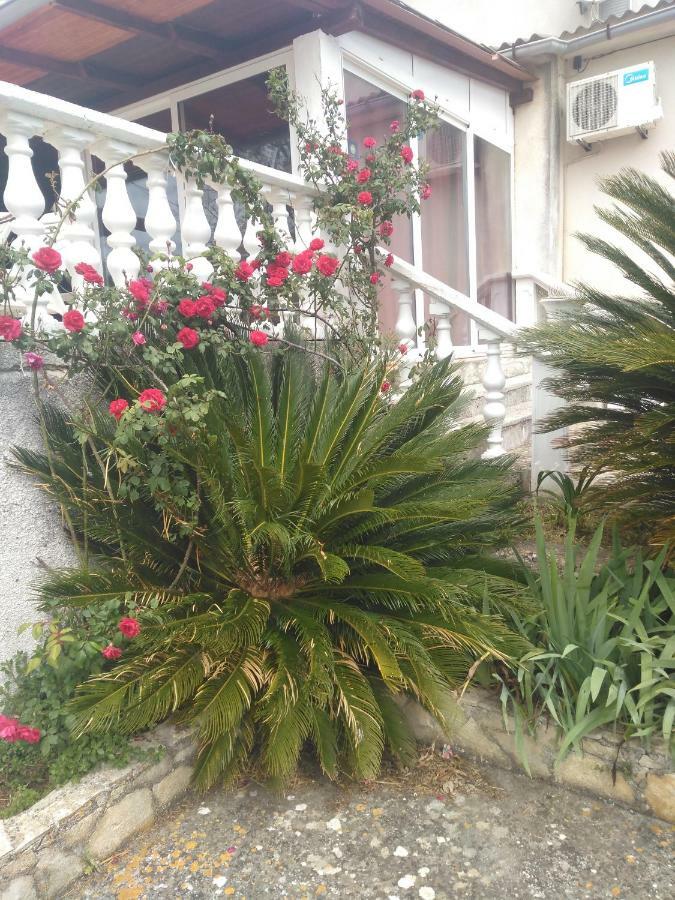 Apartments Ruza Dragove Dugi Otok Εξωτερικό φωτογραφία